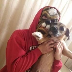 Meet your Posher, Leslie